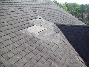 Roofer Near Me